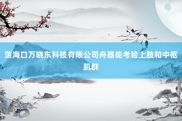 荡海口万晓东科技有限公司舟器能考验上肢和中枢肌群
