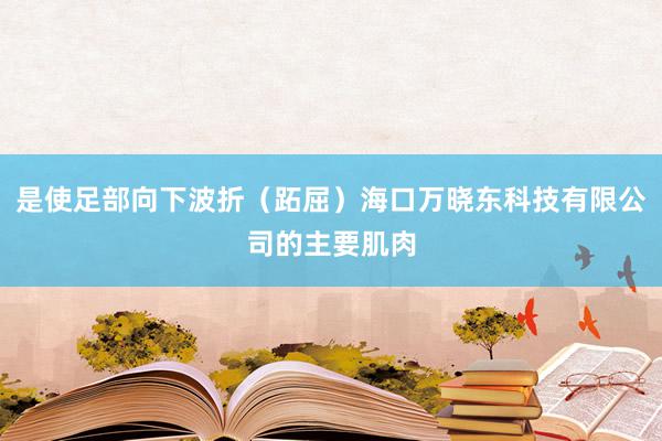 是使足部向下波折（跖屈）海口万晓东科技有限公司的主要肌肉