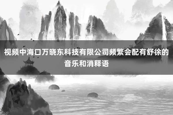 视频中海口万晓东科技有限公司频繁会配有舒徐的音乐和消释语