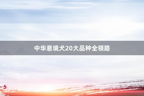 中华意境犬20大品种全领路